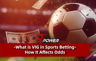 tpower what is vig in sports betting